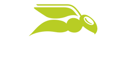 07_4_2_Logos_Security-NIS2-Hornet-Security