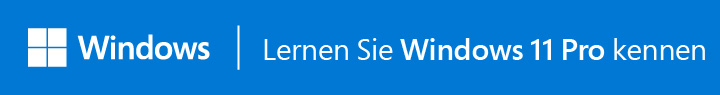 Windows 11 Pro Logo